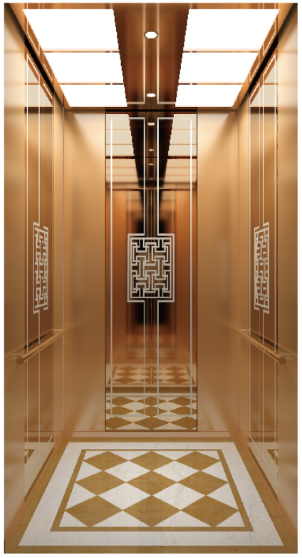 Home Elevators - Professional elevator solution 4 by Homalift Especialist Co.