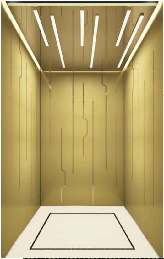 Passenger Elevators - Professional elevator solution 11 by Homalift Especialist Co.