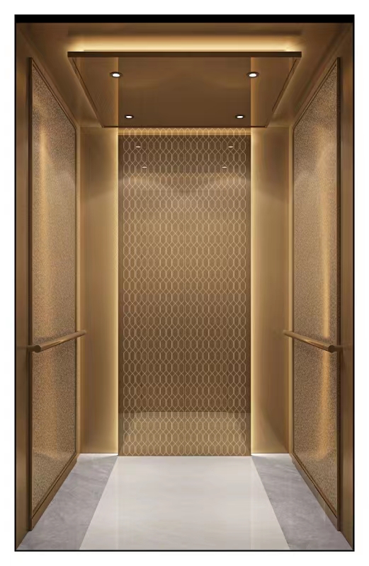 Passenger Elevators - Professional elevator solution 17 by Homalift Especialist Co.